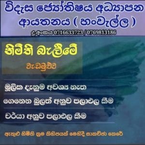 නිමිති වැඩමුළුව