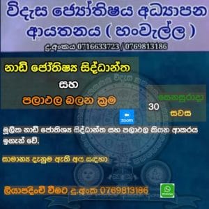 නාඩි ජෝතිෂ්‍ය